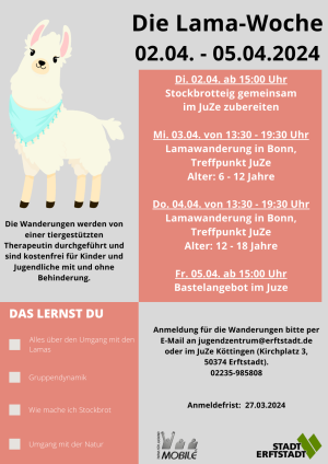Flyer_Lama_Projekt
